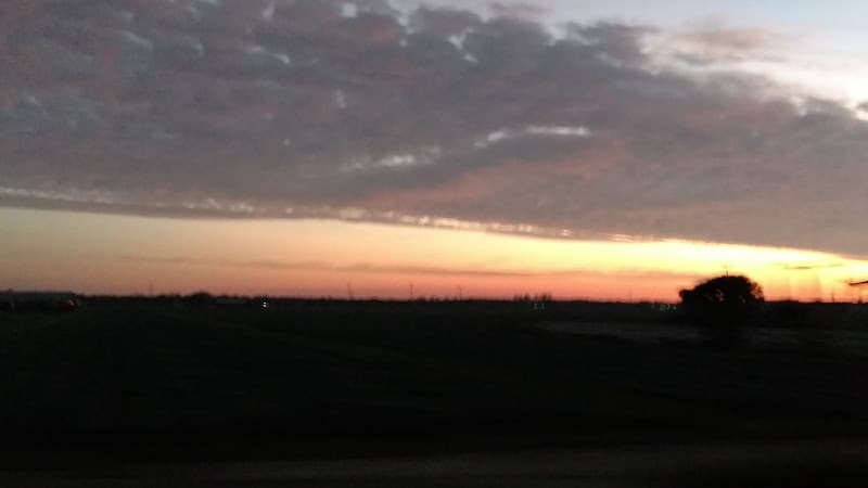 Bratcher Farms