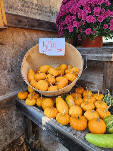 Twin Meadow Farm