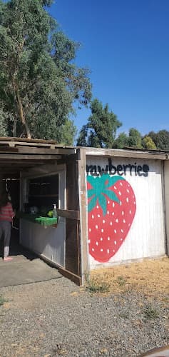 KS Strawberries Stand