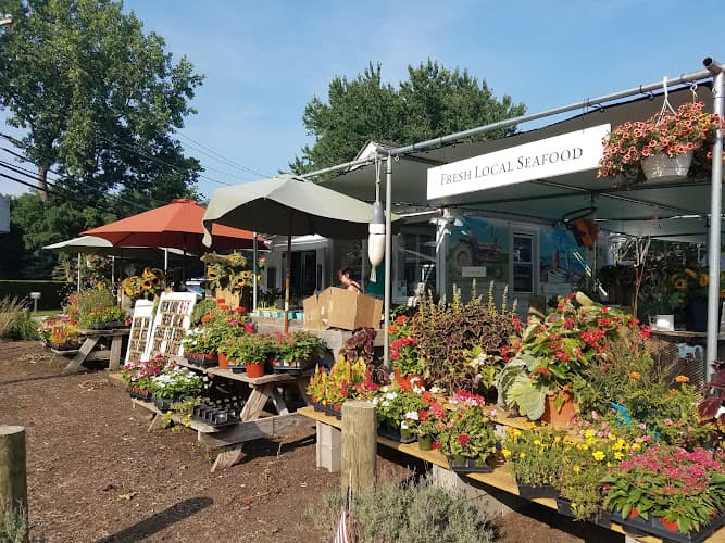 Serene Green Farmlocal farmers marketNew York