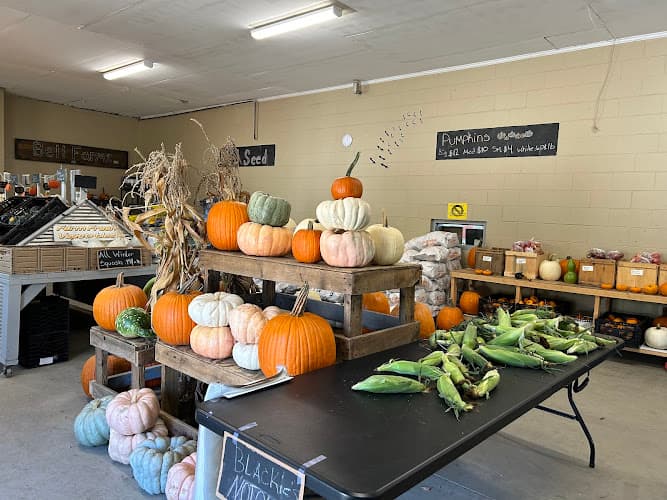 Bell Farms Inc