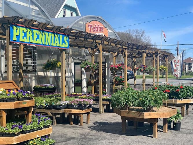 Tebbs Farms & Greenhouses