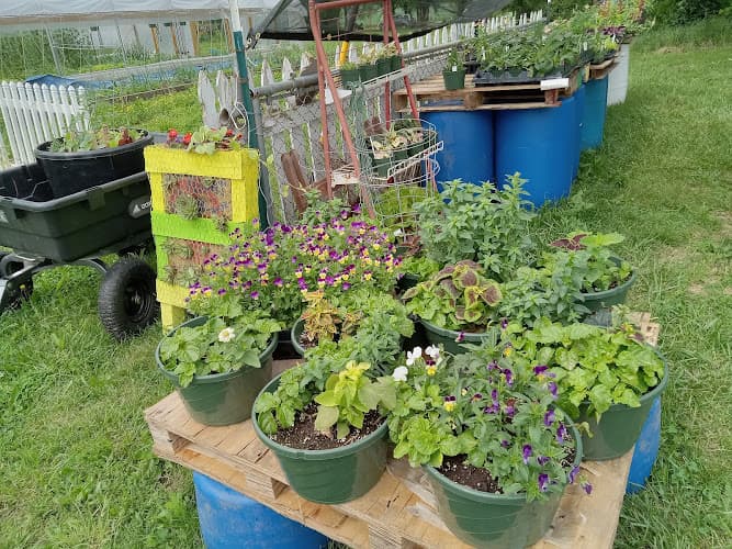 Faith Works Farm