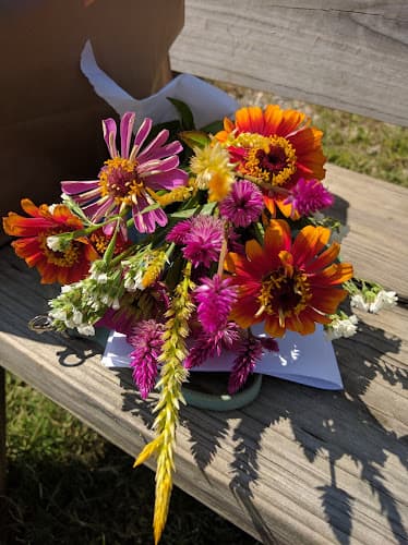Bellair Produce LLC