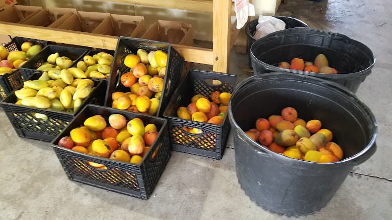 Stanley's Mangos