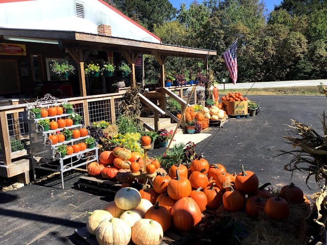 Farm Fresh Pickin’s