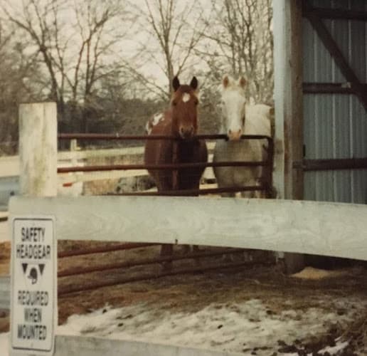 Avery's Locust Hill Farms