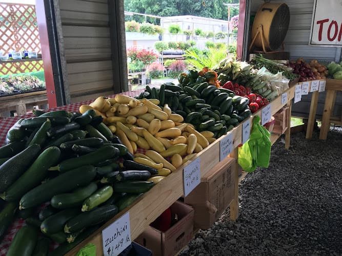 Garden Valley Farmers Market - South Burlington