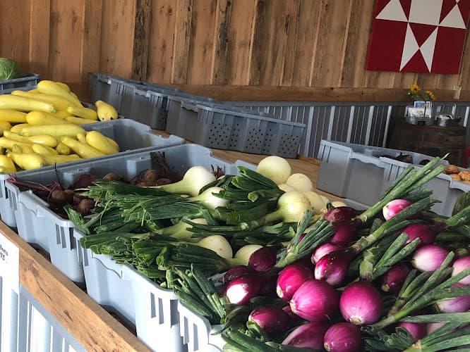 Burnett Farms