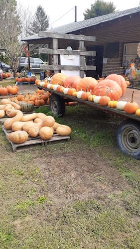 Jersey Jules Farm Stand