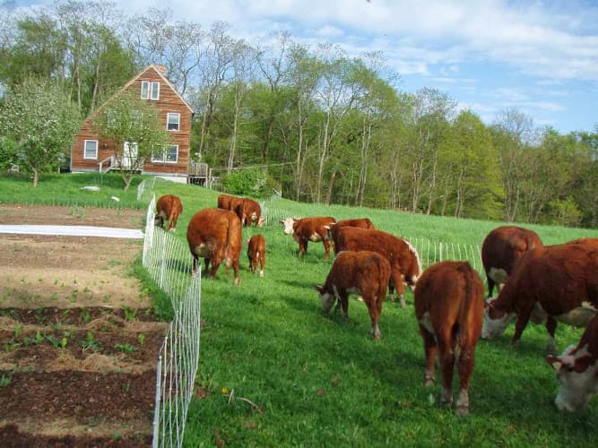 Four Winds Farm