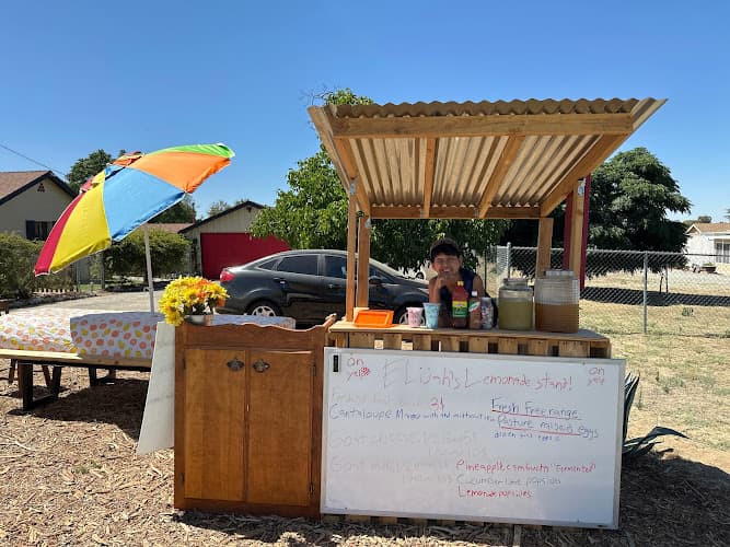 Elijah's Lemonade Stand