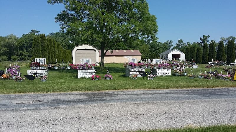 Scarecrow Farm